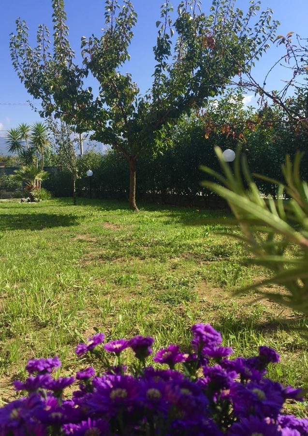 Bed and Breakfast Bba2Passi Marina di Massa Zewnętrze zdjęcie
